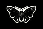 Our Darling Sticker